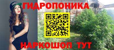 индика Комсомольск-на-Амуре