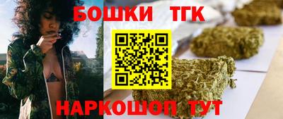 индика Комсомольск-на-Амуре