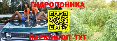 индика Комсомольск-на-Амуре