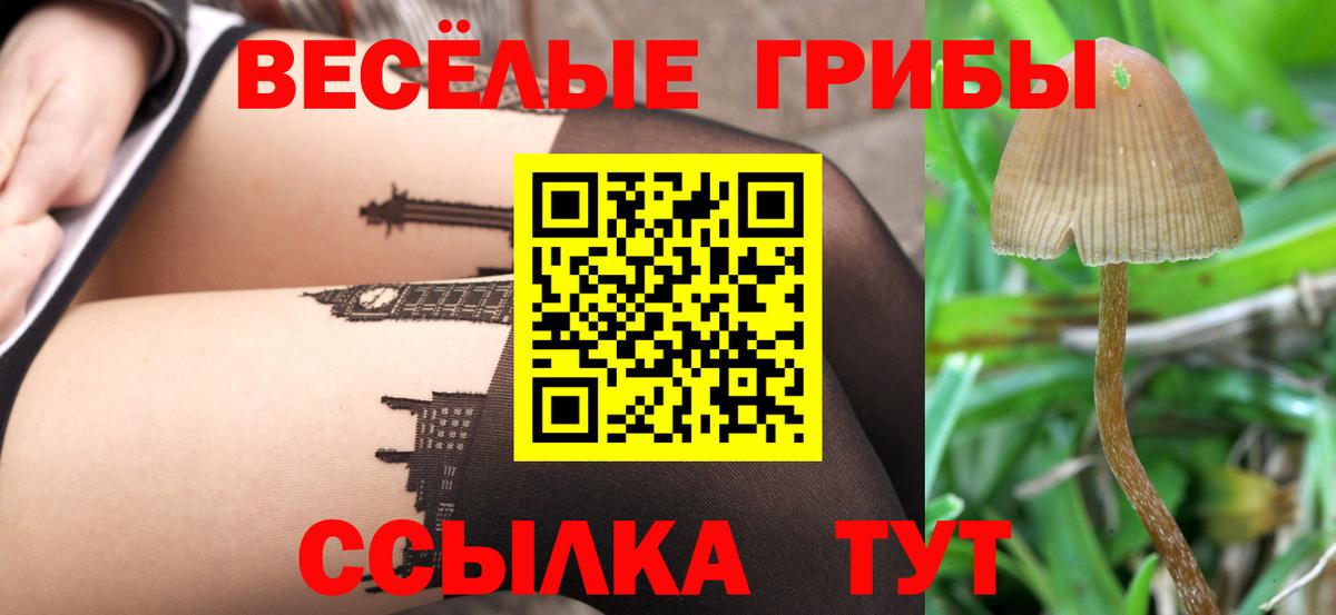 Краснокаменск  Псилоцибиновые грибы мицелий  Вход с VPN 